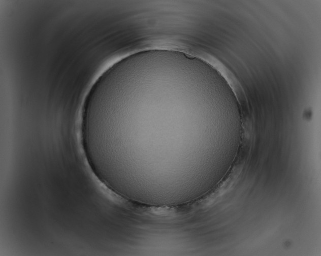 X0000102831147200809021308