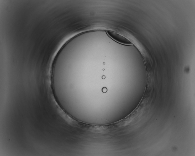 X0000102831148200809021308