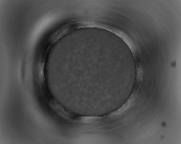 X0000102831150200809021308