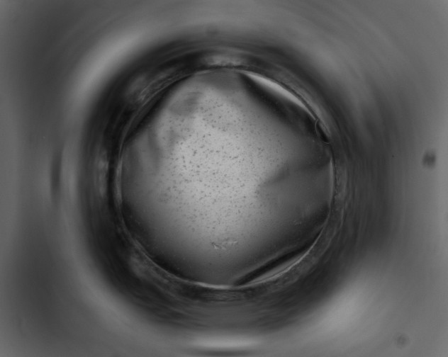 X0000102831151200809021308