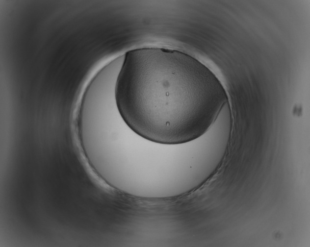 X0000102831152200809021308