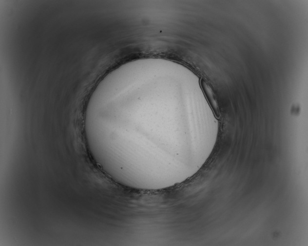 X0000102831153200809021307