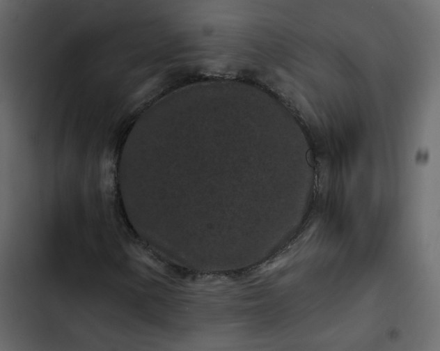 X0000102831154200809021307