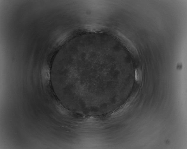 X0000102831155200809021307