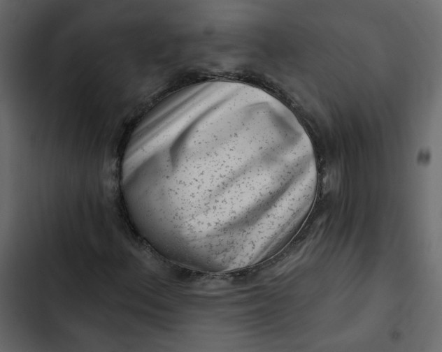 X0000102831156200809021307