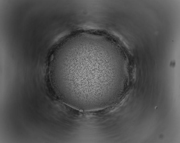 X0000102831157200809021307