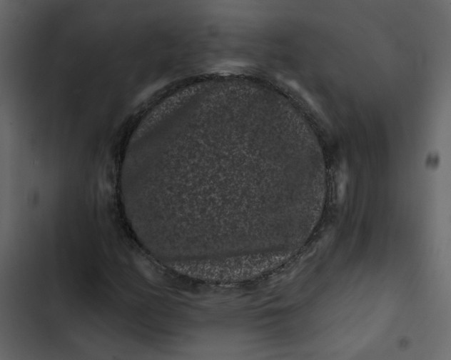 X0000102831158200809021307