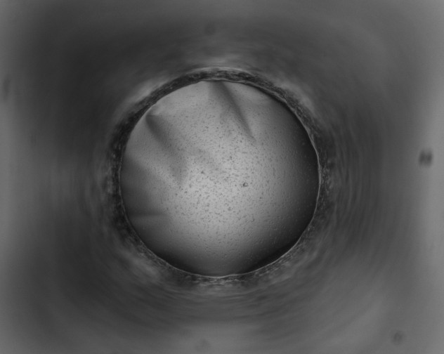 X0000102831159200809021307