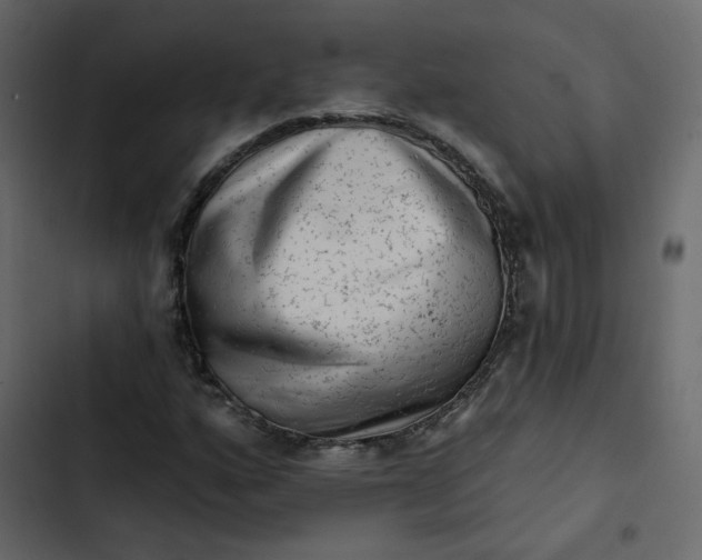 X0000102831160200809021307