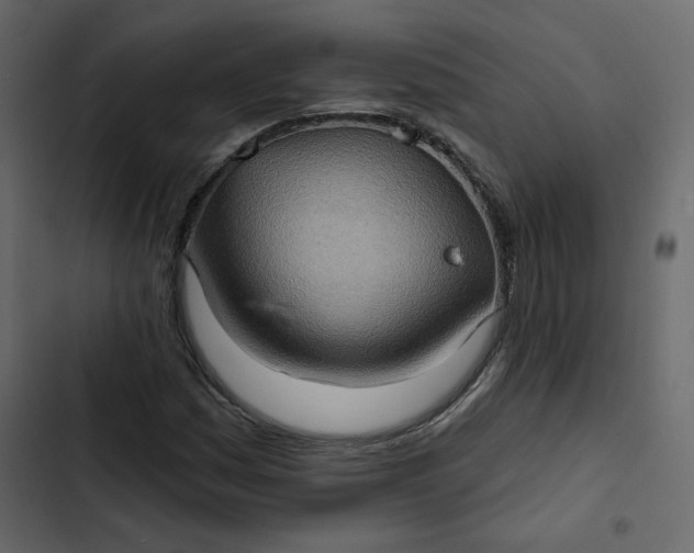 X0000102831161200809021307