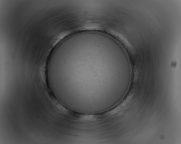 X0000102831162200809021307