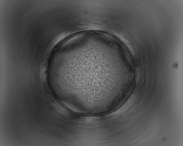 X0000102831163200809021307