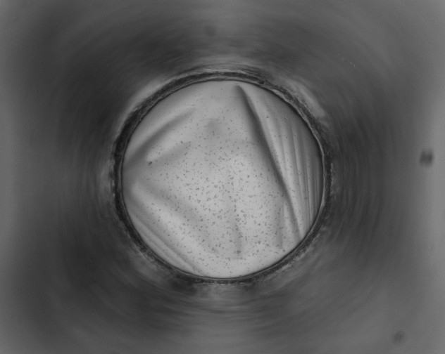 X0000102831164200809021307