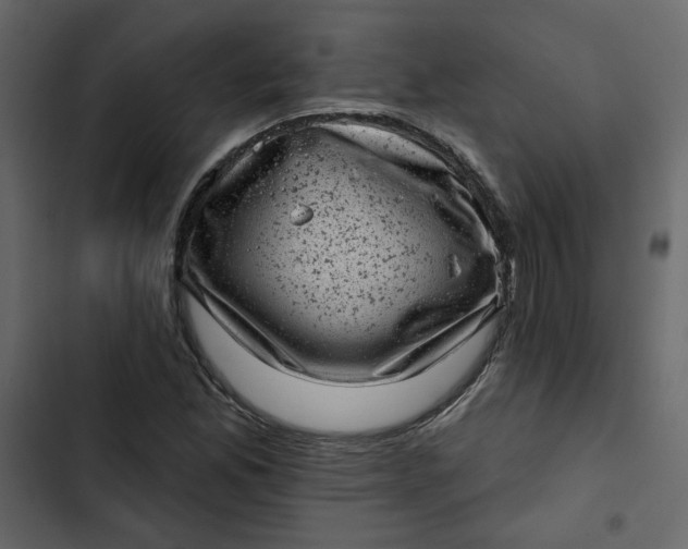 X0000102831165200809021307