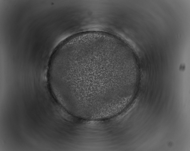 X0000102831166200809021307