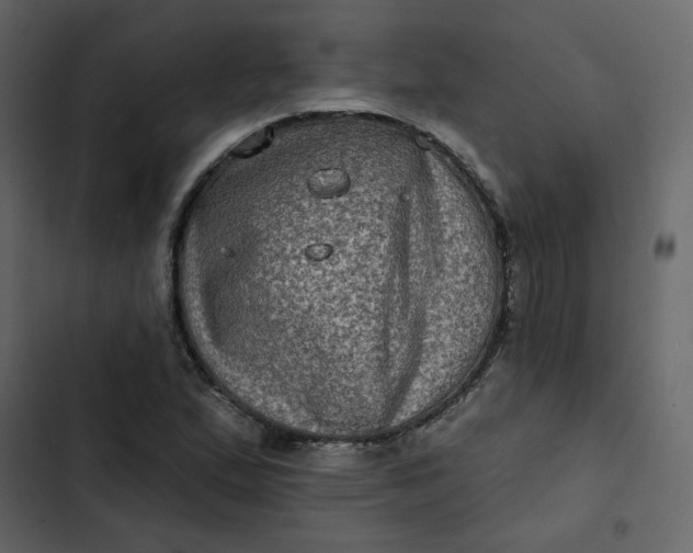 X0000102831167200809021307