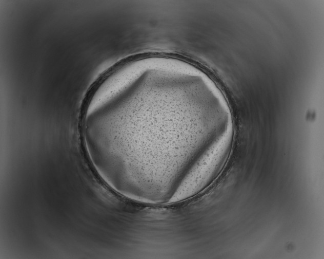 X0000102831168200809021307