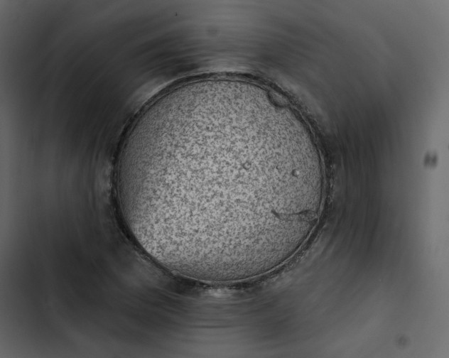 X0000102831169200809021307