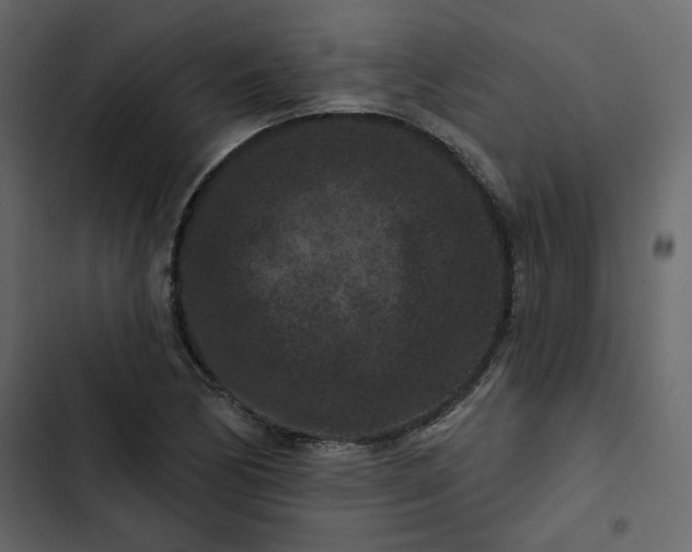 X0000102831170200809021307