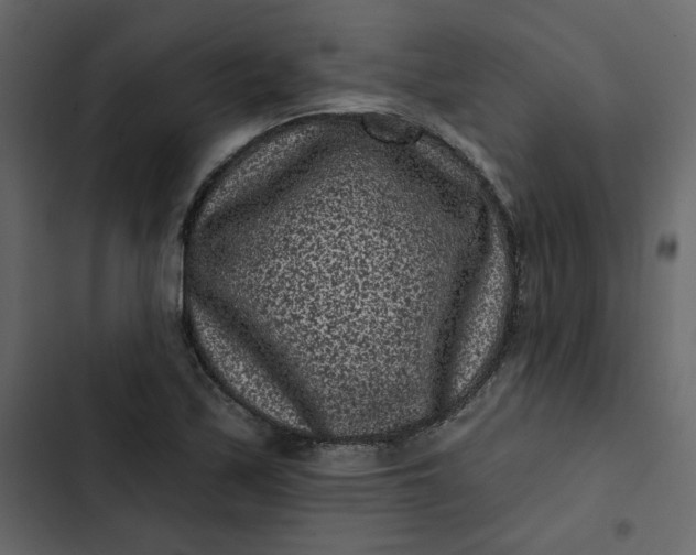 X0000102831171200809021307