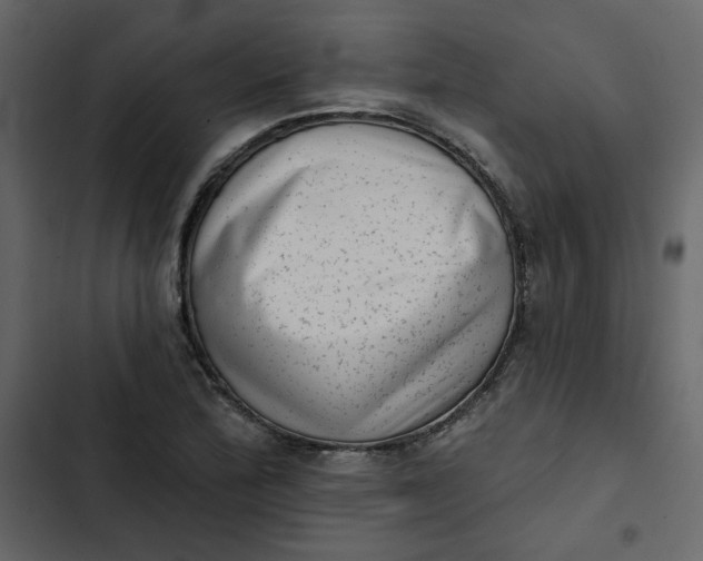 X0000102831172200809021307