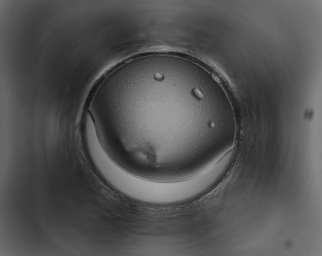 X0000102831173200809021307