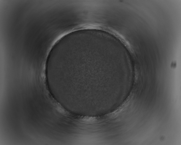 X0000102831174200809021307