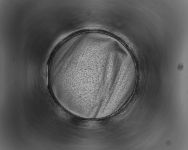 X0000102831175200809021307