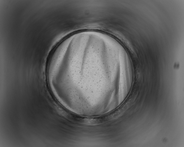 X0000102831176200809021307