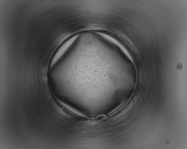 X0000102831177200809021307