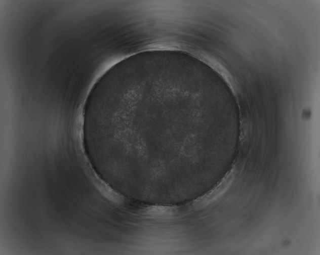 X0000102831179200809021307