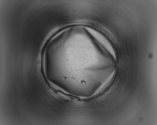 X0000102831180200809021307