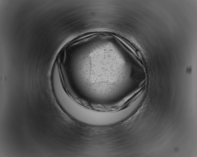 X0000102831181200809021307