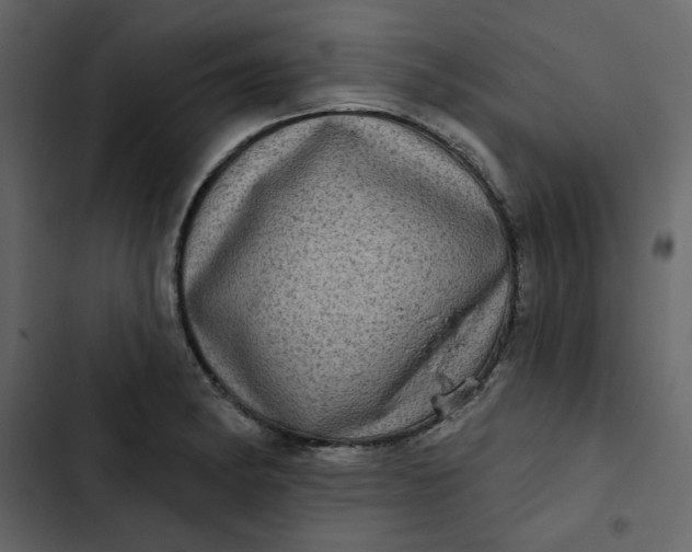 X0000102831182200809021307