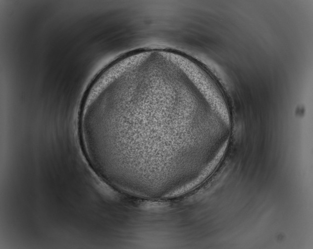 X0000102831183200809021307