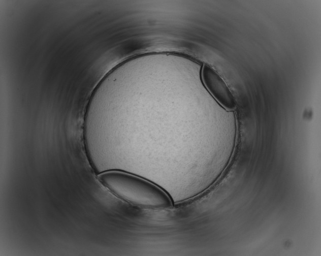 X0000102831185200809021307