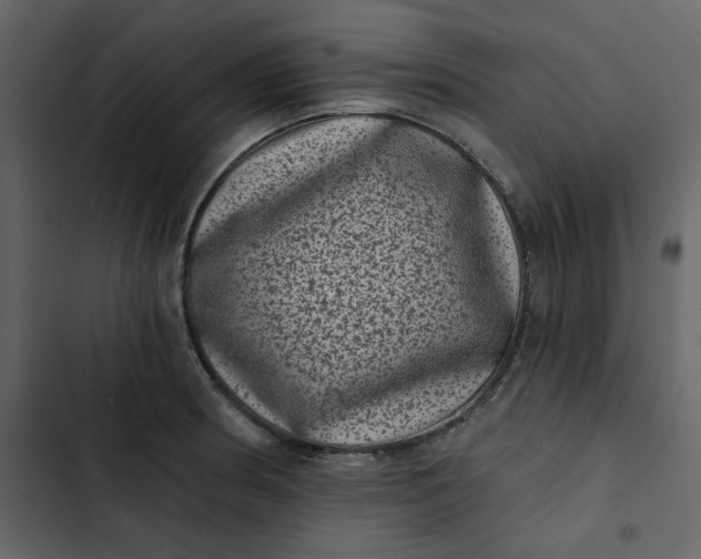 X0000102831186200809021307