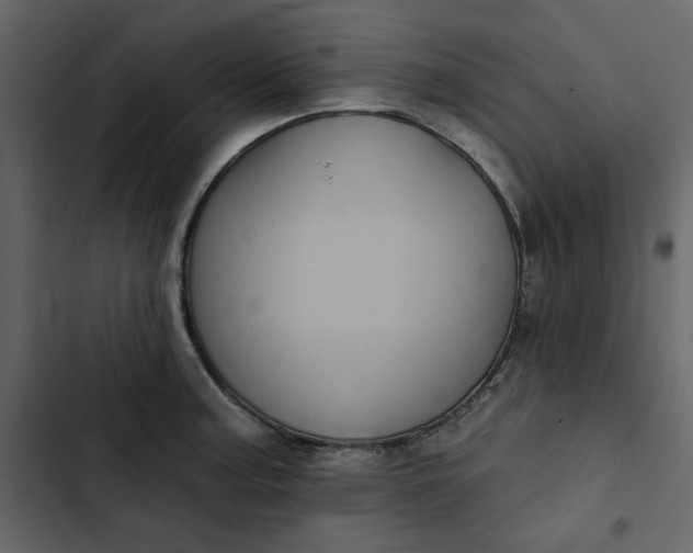 X0000102831187200809021307