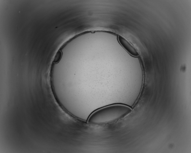 X0000102831189200809021307