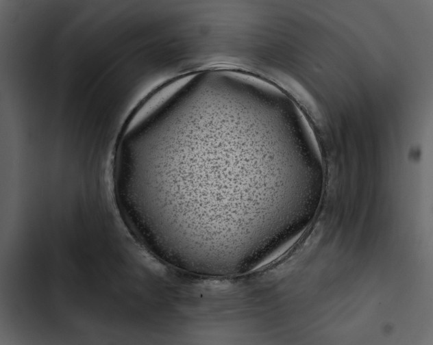 X0000102831190200809021307