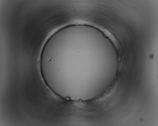 X0000102831191200809021307