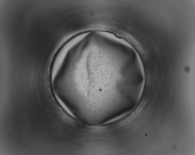 X0000102831192200809021307