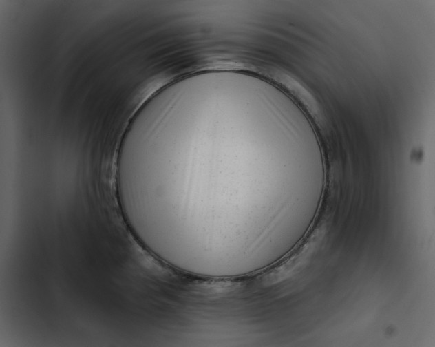 X0000102831193200809021307