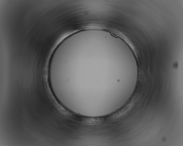 X0000102831195200809021306