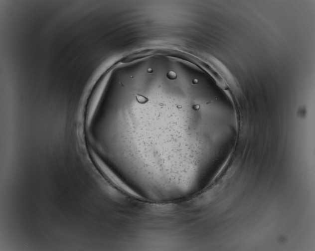 X0000102831196200809021306