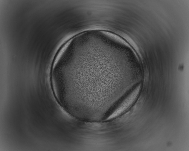 X0000102831197200809021306