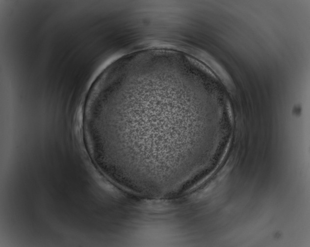 X0000102831198200809021306