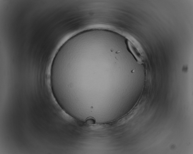 X0000102831199200809021306