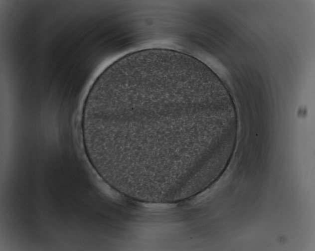 X0000102831200200809021306