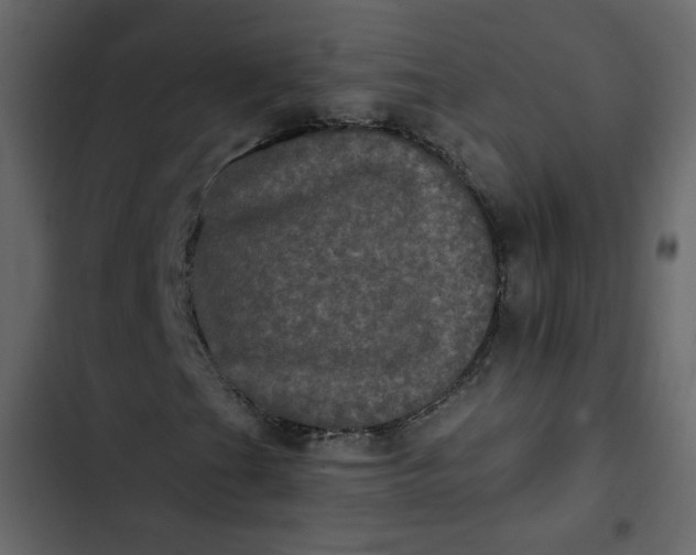 X0000102831201200809021306